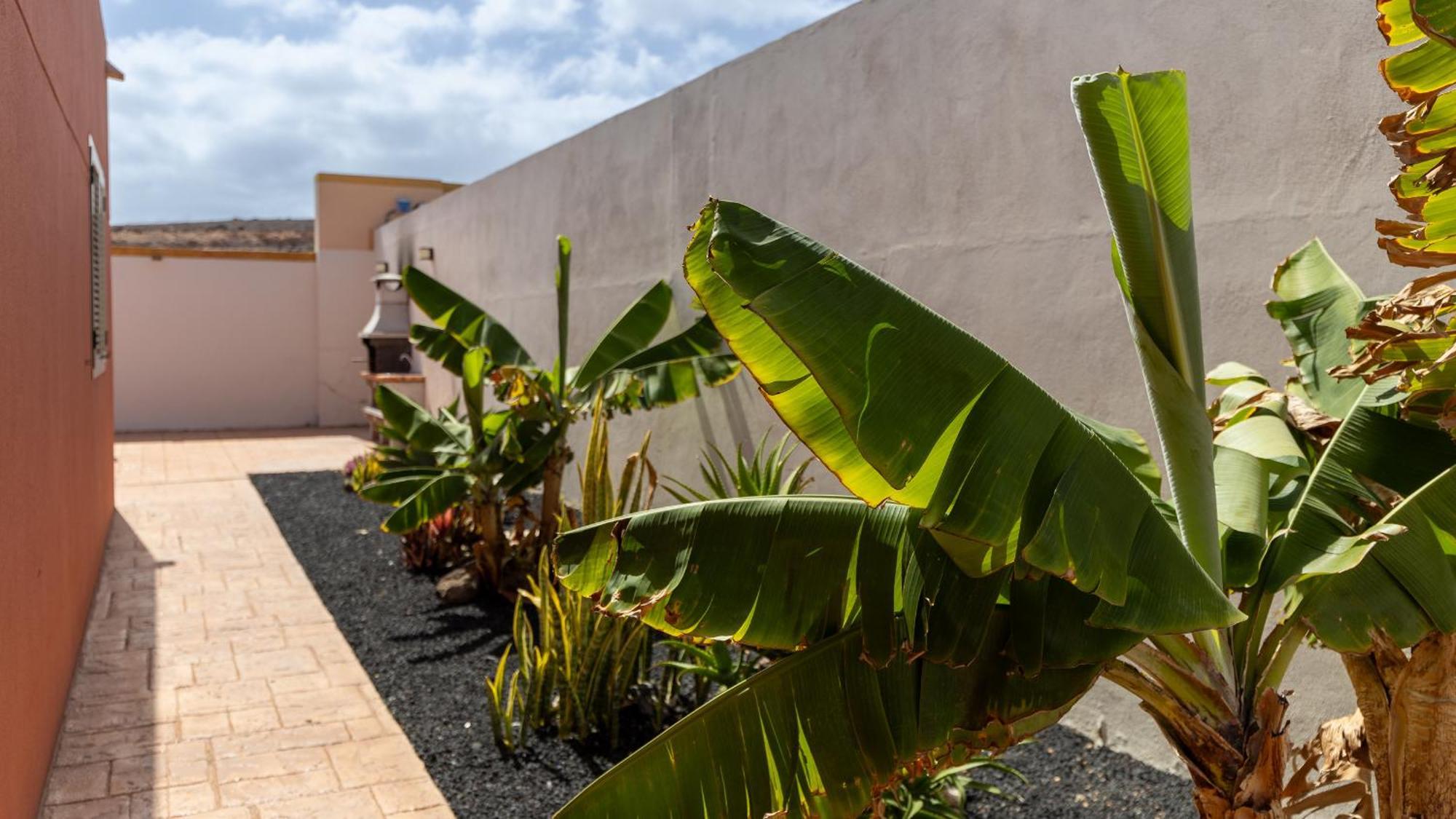 Villa Vento By Calima Villas Costa De Antigua Extérieur photo